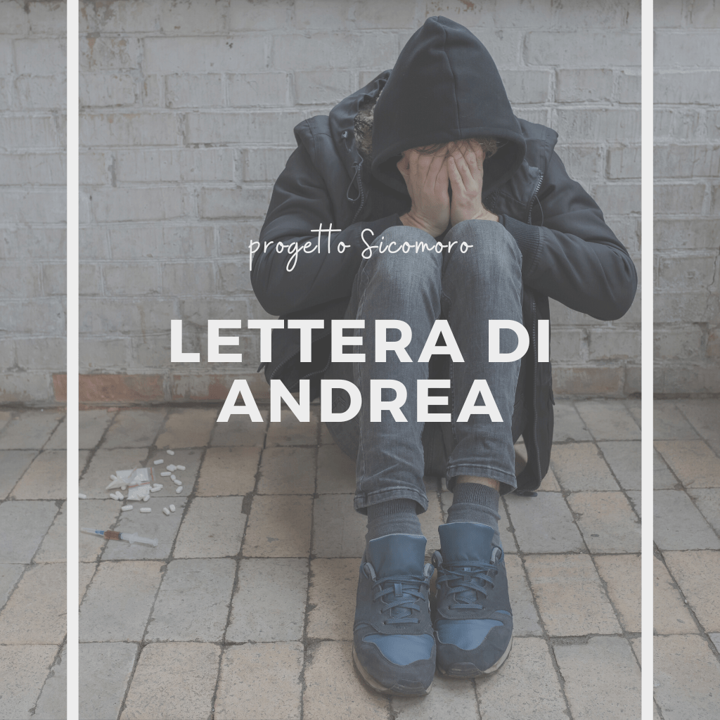 Lettera di Andrea al termine del Progetto Sicomoro
